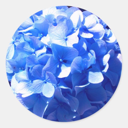Cobalt blue floral elegant blue hydrangeas  classic round sticker