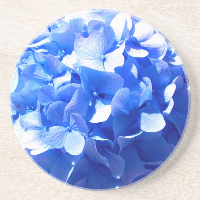 Cobalt blue floral elegant blue hydrangeas  coaster (Front)