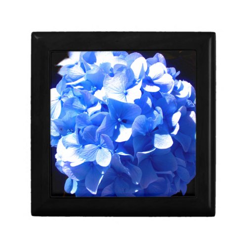 Cobalt blue floral elegant blue hydrangeas  gift box