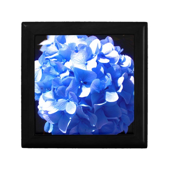 Cobalt blue floral elegant blue hydrangeas  gift box (Front)