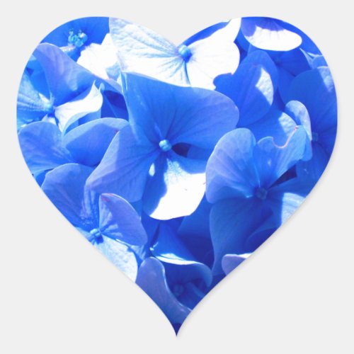 Cobalt blue floral elegant blue hydrangeas  heart sticker