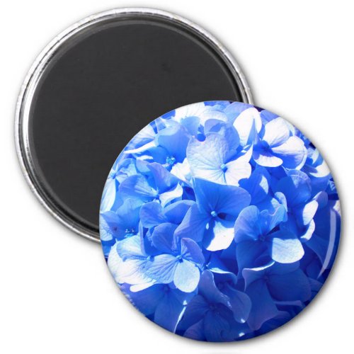 Cobalt blue floral elegant blue hydrangeas  magnet
