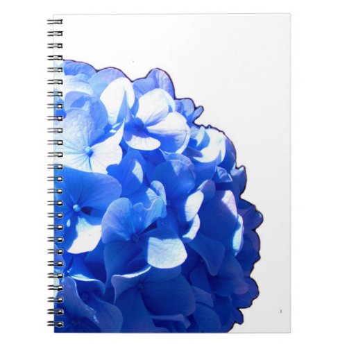 Cobalt blue floral elegant blue hydrangeas  notebook