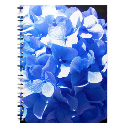 Cobalt blue floral elegant blue hydrangeas  notebook