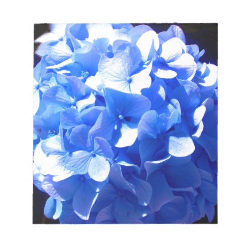 Cobalt blue floral elegant blue hydrangeas  notepad