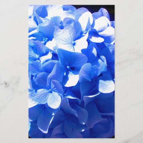 Cobalt blue floral elegant blue hydrangeas  stationery