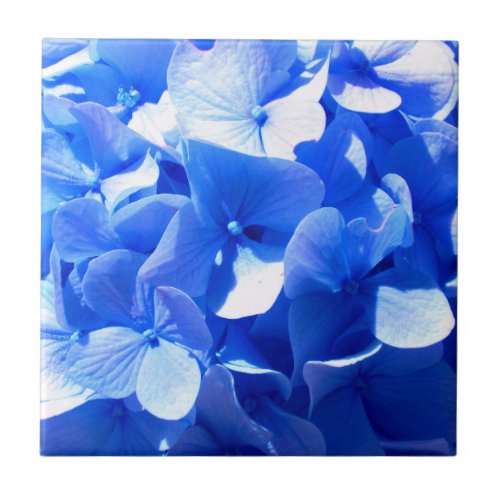 Cobalt blue floral elegant blue hydrangeas  tile