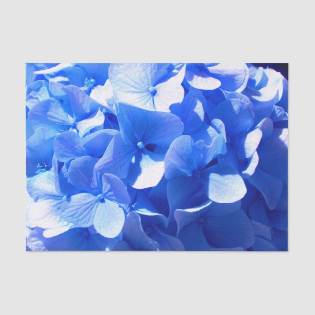 Cobalt blue floral elegant blue hydrangeas  tissue paper (Front)