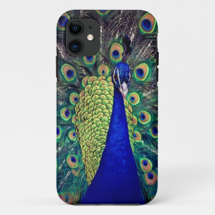 Cobalt Blue Peacock iPhone 11 Case