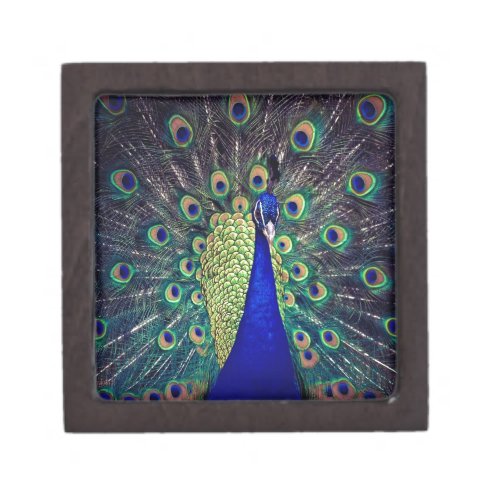 Cobalt Blue Peacock Gift Box