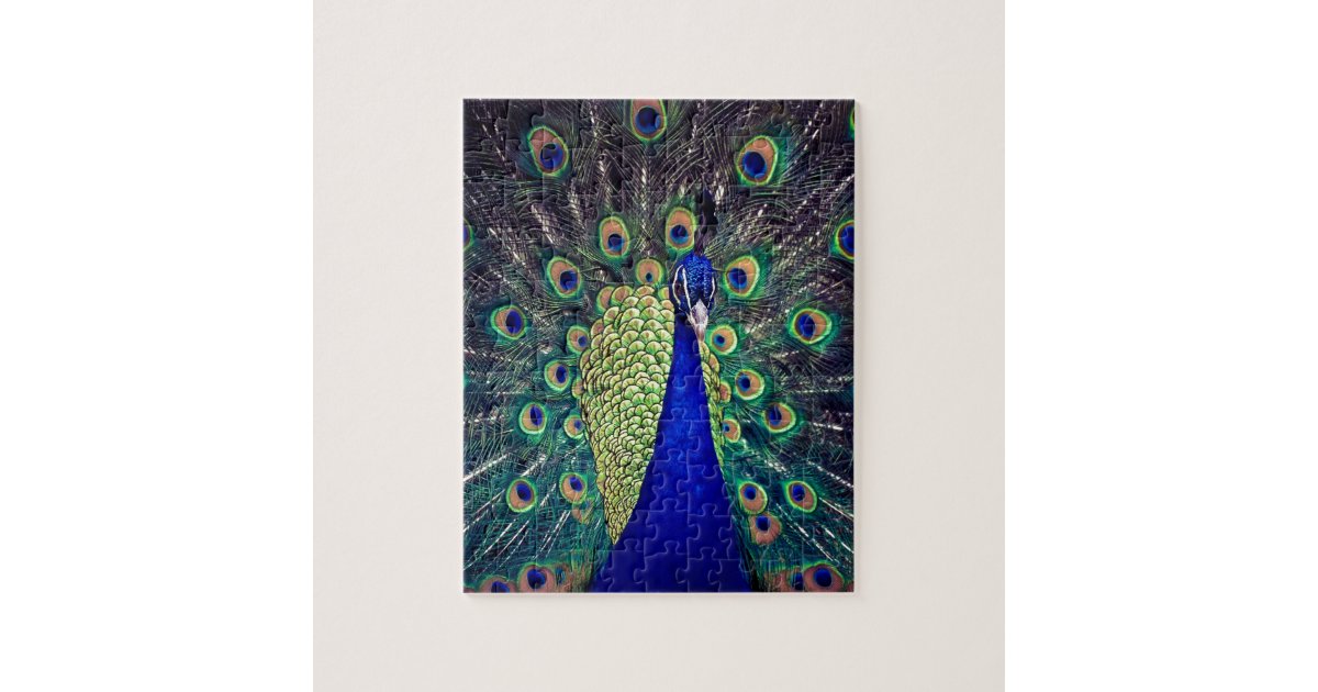 Cobalt Blue Peacock Jigsaw Puzzle | Zazzle