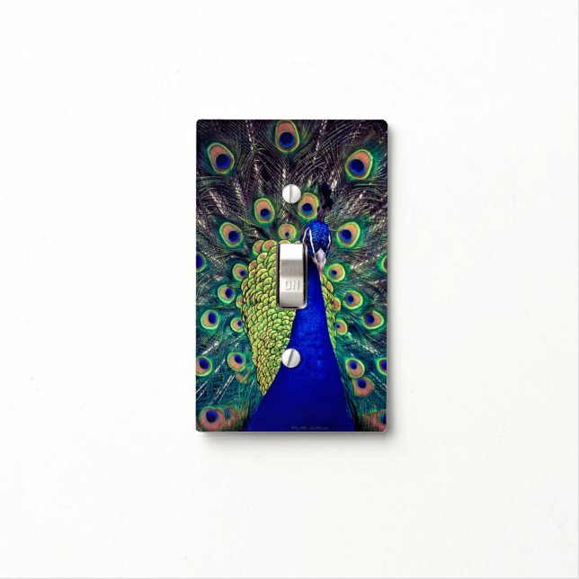 Cobalt Blue Peacock Light Switch Cover (In Situ)