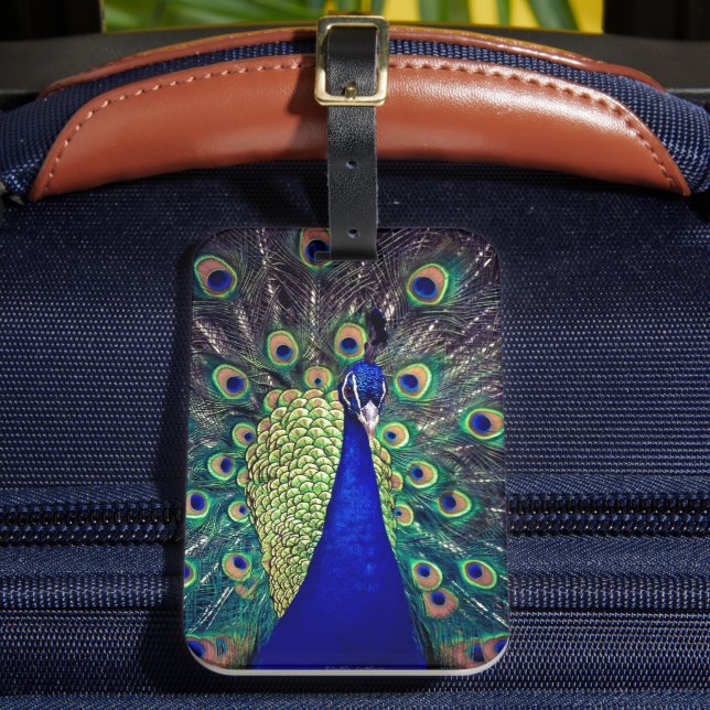 Cobalt Blue Peacock Luggage Tag (Front Insitu 2)
