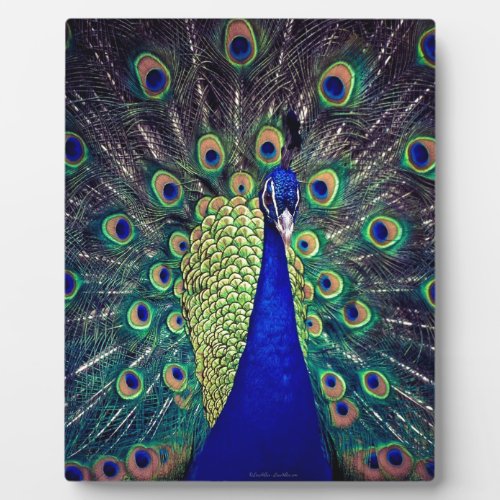 Cobalt Blue Peacock Plaque