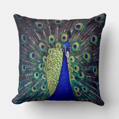 Cobalt Blue Peacock Throw Pillow