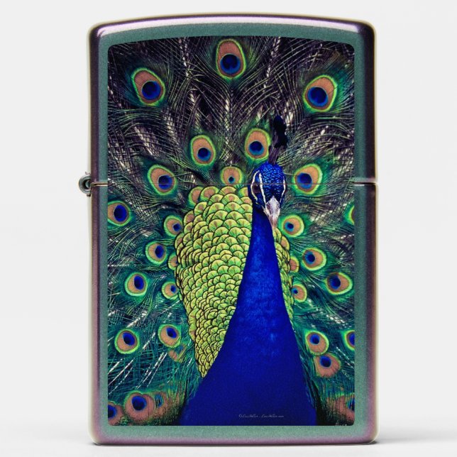 Cobalt Blue Peacock Zippo Lighter (Front)