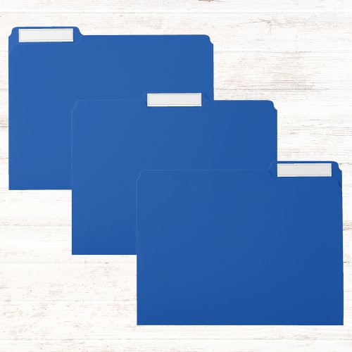 Cobalt Blue Solid Color File Folder