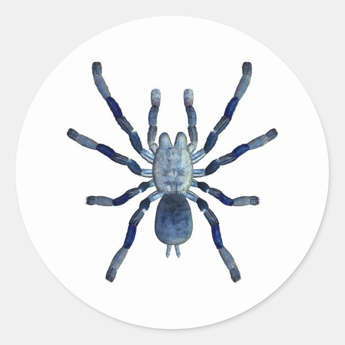 Cobalt Blue Tarantula Stickers