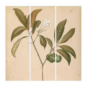 Cobalt Deco Panel I