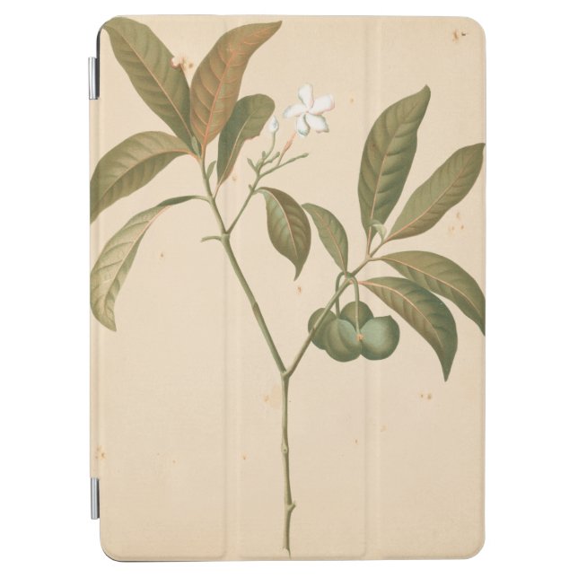 Cobalt Deco Panel I iPad Air Cover (Front)