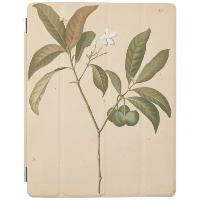 Cobalt Deco Panel I iPad Air Cover (Front)