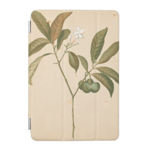 Cobalt Deco Panel I iPad Mini Cover