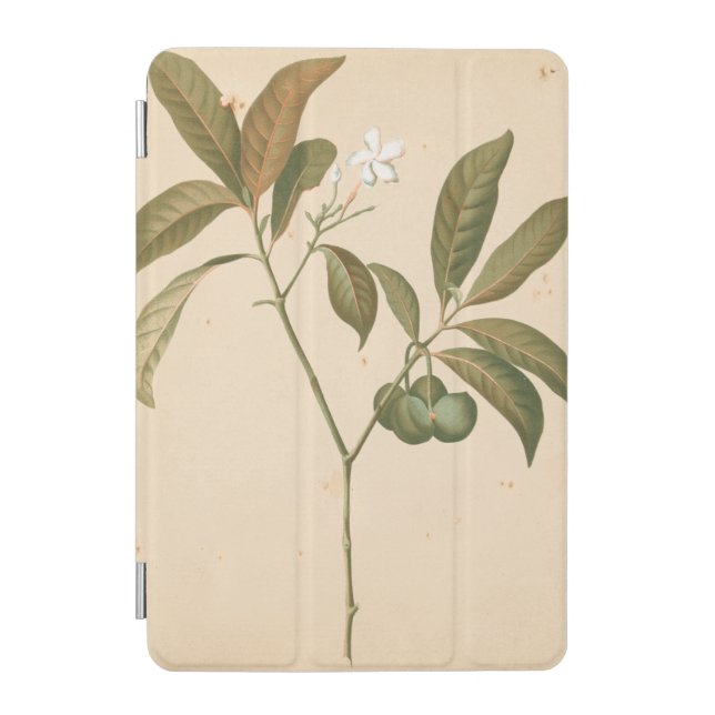 Cobalt Deco Panel I iPad Mini Cover (Front)