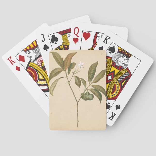 Cobalt Deco Panel I Poker Cards (Back)