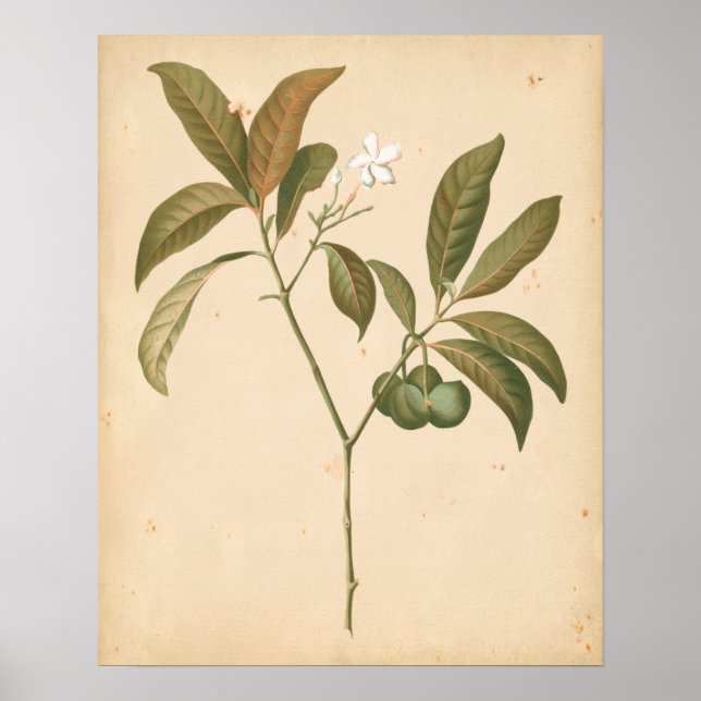 Cobalt Deco Panel I Poster (Front)