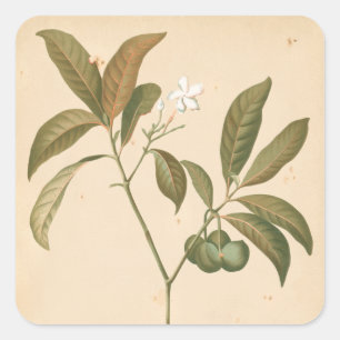 Cobalt Deco Panel I Square Sticker