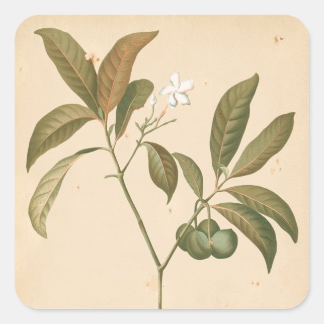 Cobalt Deco Panel I Square Sticker (Front)