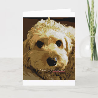 CobaltMoonDesign Cavapoo Greeting Card