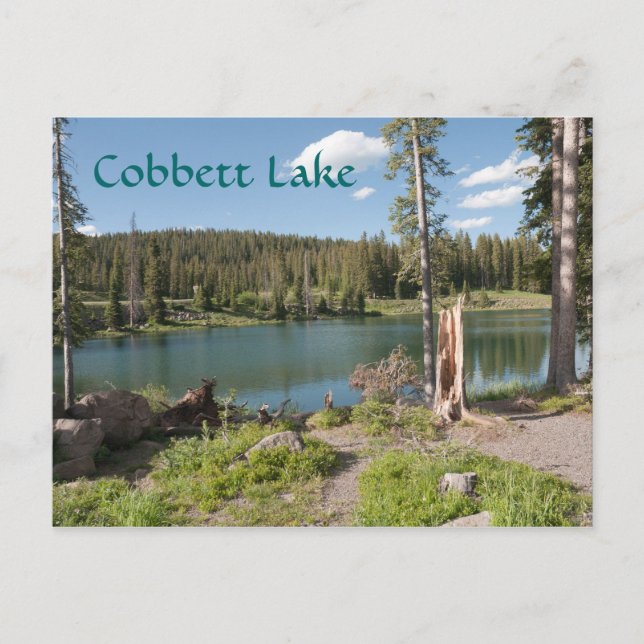 Cobbett Lake Postcard (Front)