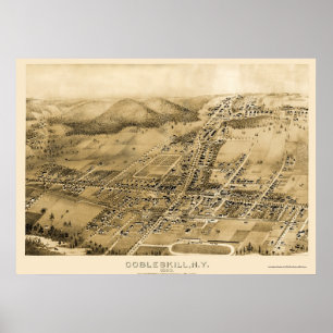 Cobbleskill, NY Panoramic Map - 1883 Poster