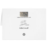 Cobblestone Clouds Cards (Back Horizontal)