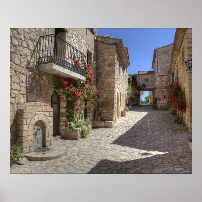 Cobblestone street, stone buildings, historic poster (Front)