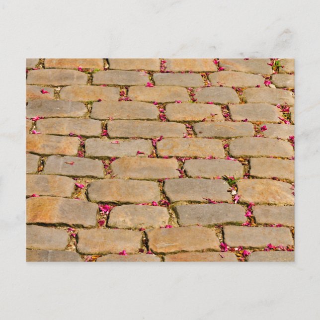 Cobblestone Walking Detail Postcard (Front)