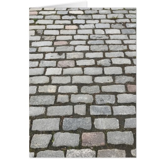 Cobblestone Walkway, Central Park, New York City (Front)