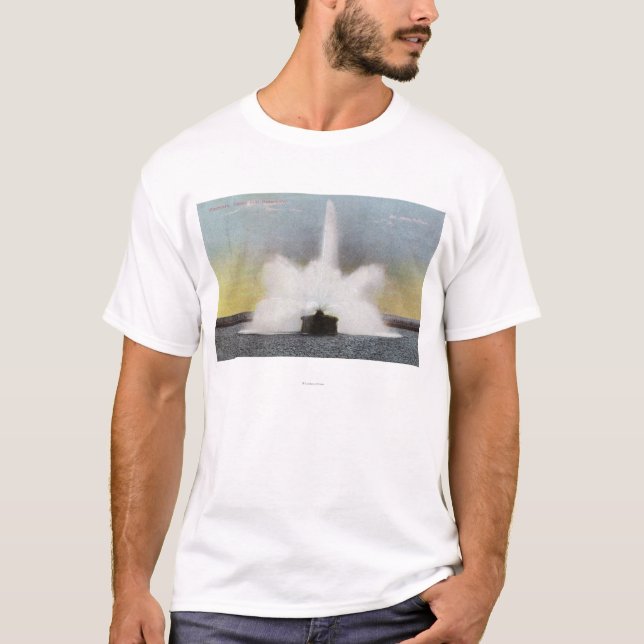 Cobbs Hill Reservoir Fountain View T-Shirt (Front)