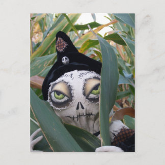 Cobby Postcard