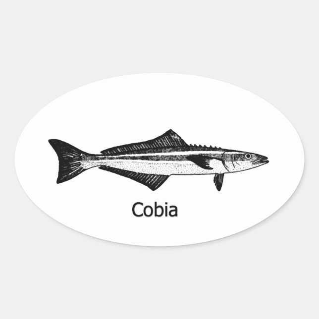 Cobia Fish Oval Sticker (Front)