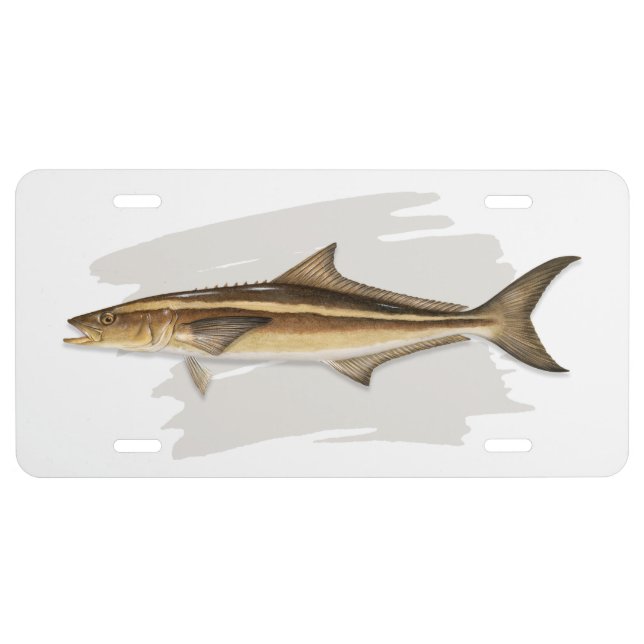 cobia license plate (Front)