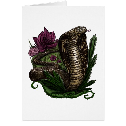 Cobra Cards (Front)