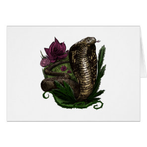 Cobra Cards
