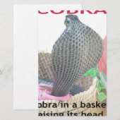 Cobra in a Basket Ready to spit Fire (Front/Back)
