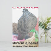 Cobra in a Basket Ready to spit Fire (Standing Front)