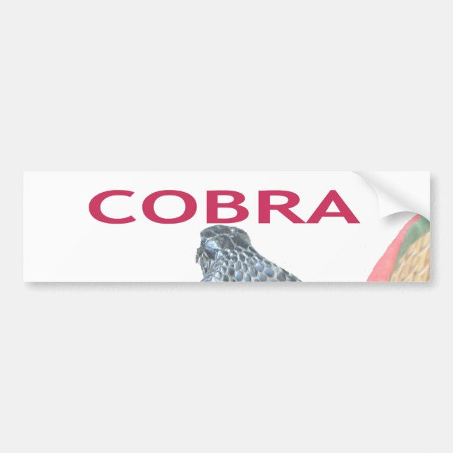 Cobra in Basket Art Print Bumper Sticker (Front)