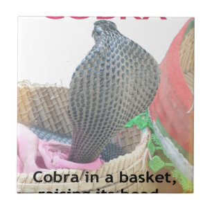 Cobra in Basket Art Print Ceramic Tile