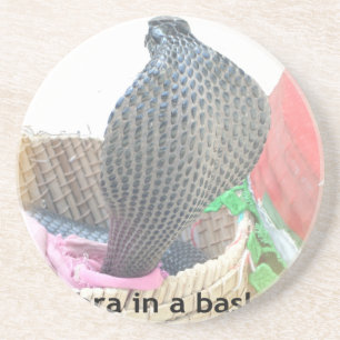 Cobra in Basket Art Print Coaster