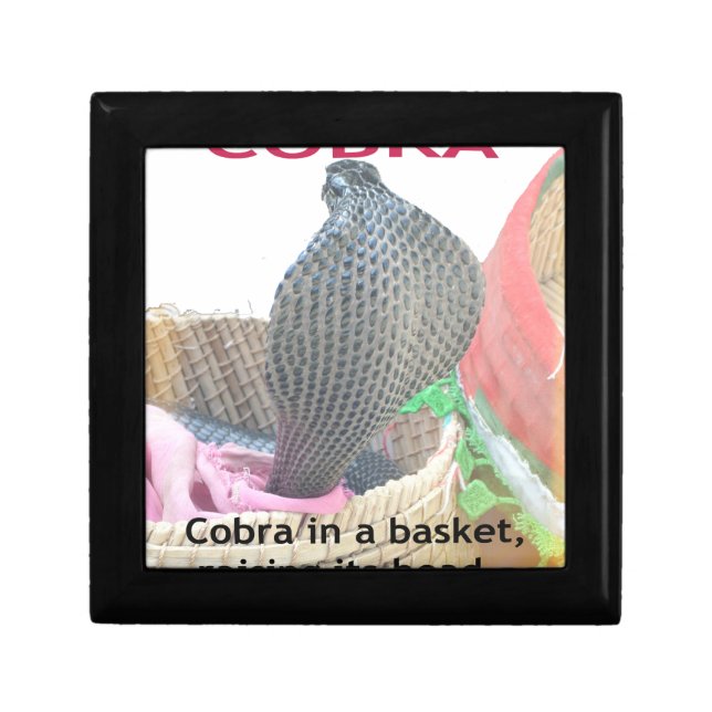 Cobra in Basket Art Print Jewelry Box (Front)
